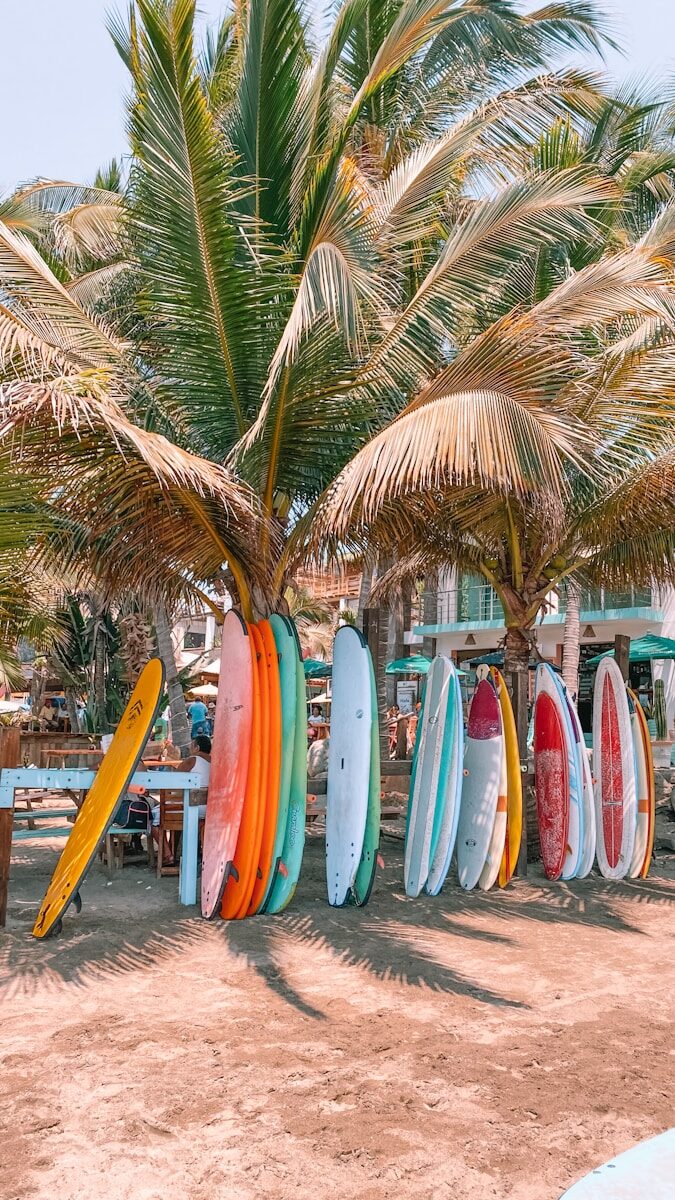 Colorful surfboards stacked under palm trees at a beachside venue, showcasing a vibrant atmosphere perfect for surfing enthusiasts and beachgoers.